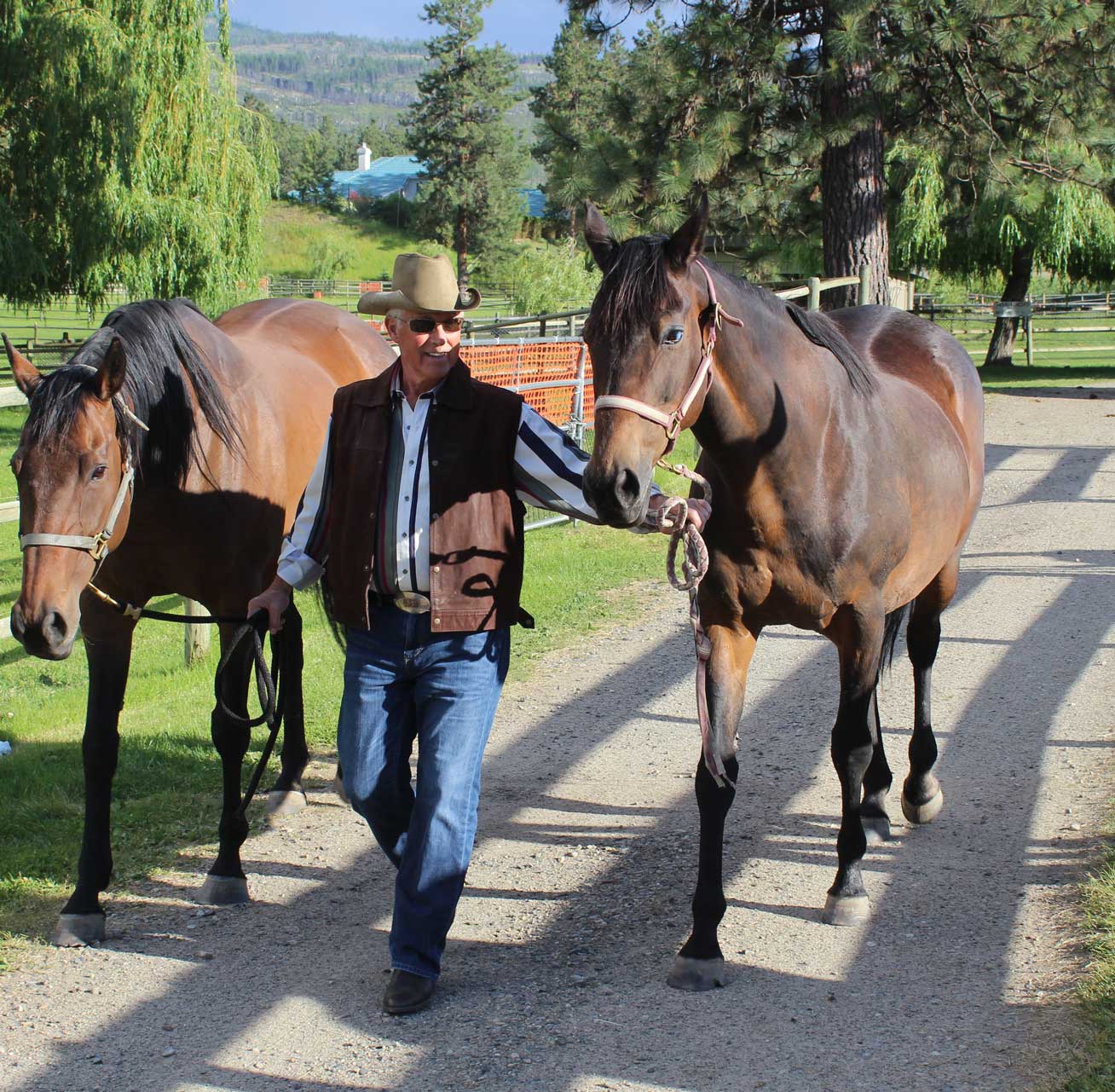 David Pihl Leading Horses Down a Path