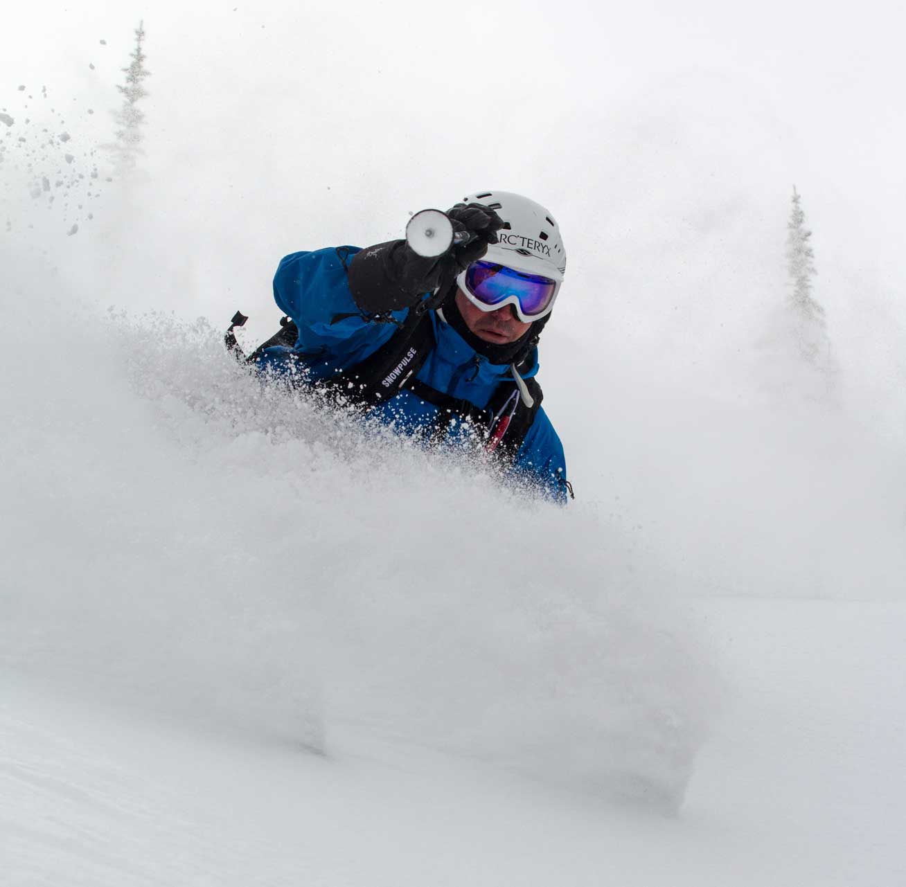 Skier in powdery snow with foggy trees in background