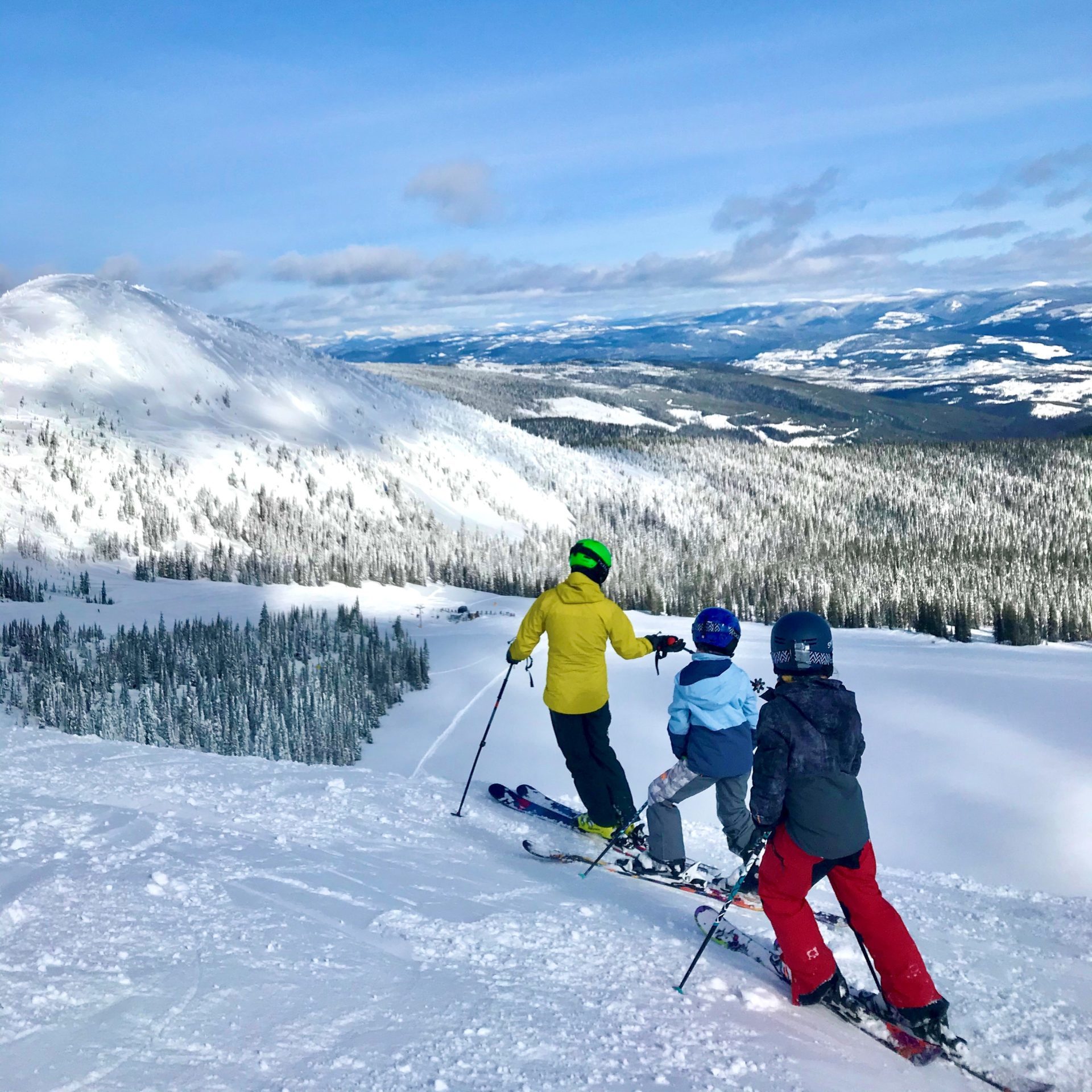 skiers on a mountain